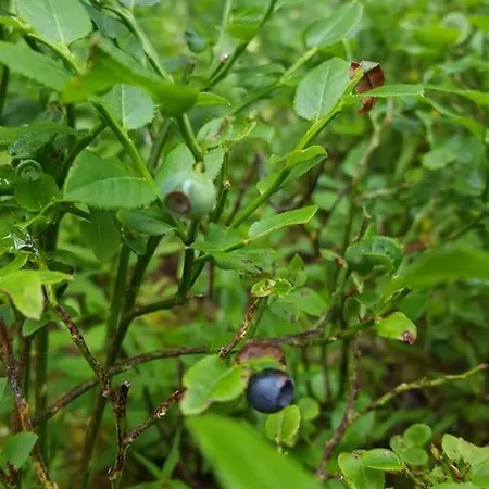 Chocolat Chalet Hohentauern