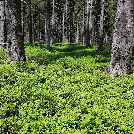 Chocolat Chalet Hohentauern