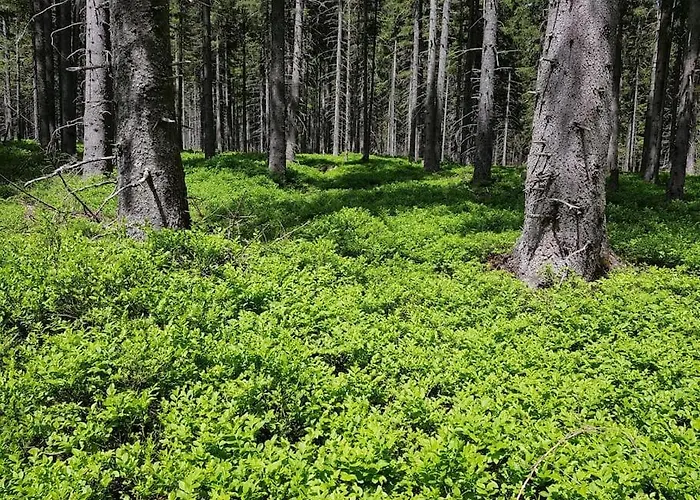 Chocolat Chalet Hohentauern